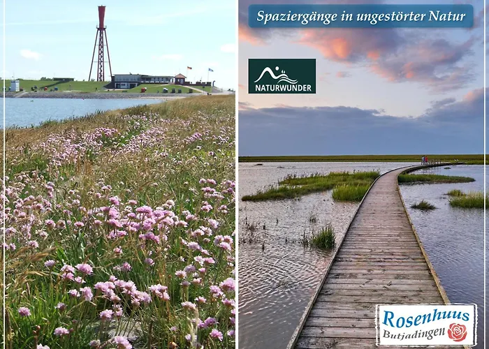 Nordseeurlaub Im Hochwertigen Feriendomizil Rosenhuus Mit Sauna Und Kamin Im Idyllischen Butjadingen