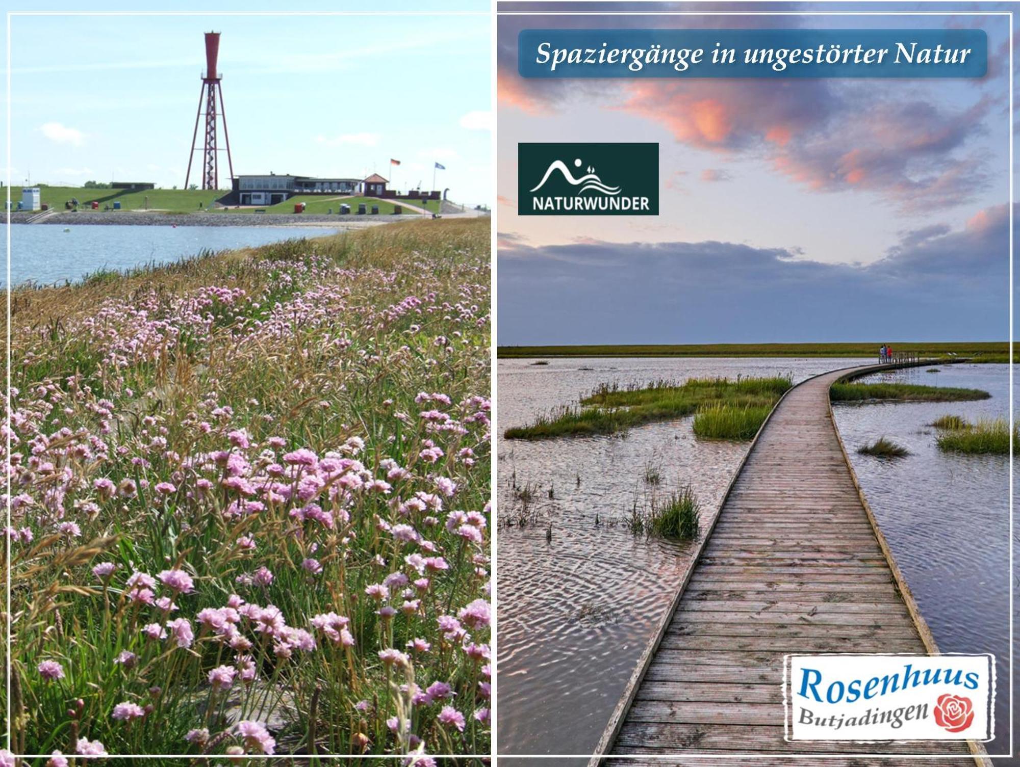 Holiday home Nordseeurlaub Im Hochwertigen Feriendomizil Rosenhuus Mit Sauna Und Kamin Im Idyllischen Butjadingen